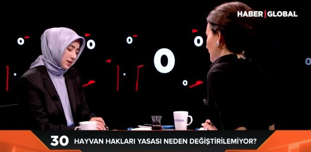 AK Parti Grup Başkanı Vekili Özlem Zengin: Bütçeden sonra hayvan hakları kanunumuzu yapacağız - Resim: 2