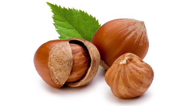 Fındık kabuğundaki sır! Meğer o hastalığın... - Resim: 1