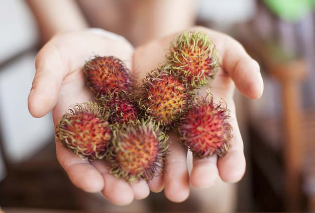 Mucizenin adı o! Sperm kalitesini ve cinsel gücü arttırıyor - Resim: 2