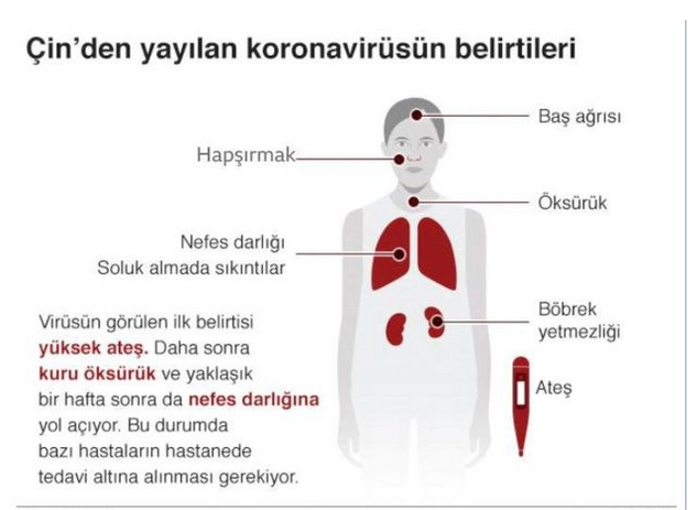 Koronavirüs paniği Dünya Sağlık Örgütü acil durum ilan etti - Resim: 2