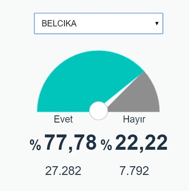 Ülke ülke yurt dışı referandum sonuçları Almanya'ya bakın - Resim: 4
