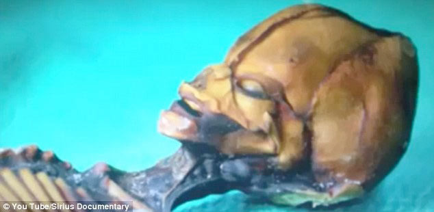 Şili'de şok iskelet - Resim: 2