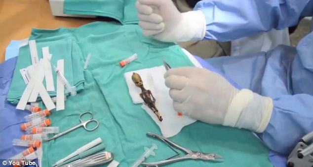 Şili'de şok iskelet - Resim: 3