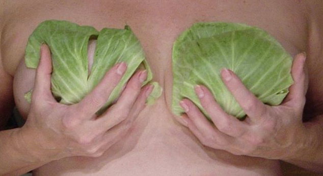 Lahana yapraklarını göğsünüze koyun ne olduğuna inanamayacaksınız - Resim: 2