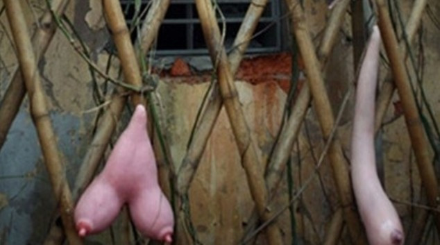 Sakın şekline aldanmayın! Bakın aslında ne - Resim: 2