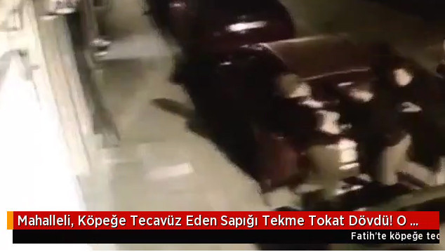 Köpeğe tecavüz etti iğrenç sapığı mahalleli yakalayınca olanlar oldu - Resim: 3