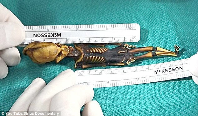 Şili'de şok iskelet - Resim: 1