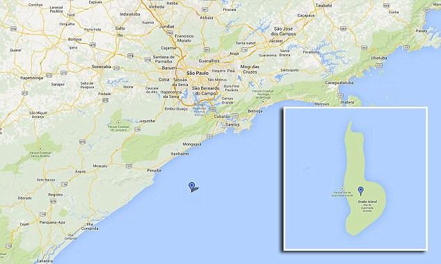 Brezilya hükümeti bu adaya girişi yasakladı! - Resim: 1