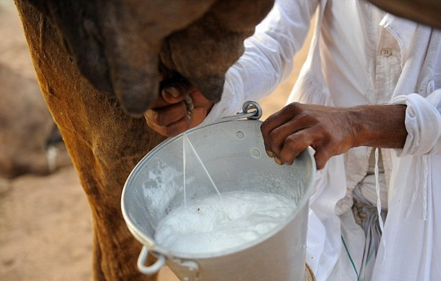 İşte yeni şifa kaynağı Kim Kardashian bile paylaştı - Resim: 3