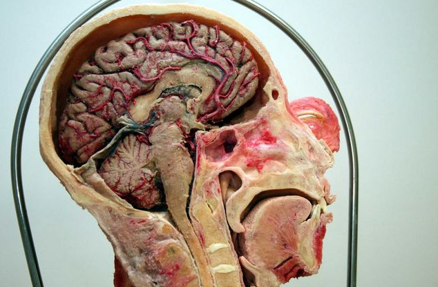 Askıya asılı insan bedenleri! - Resim: 1