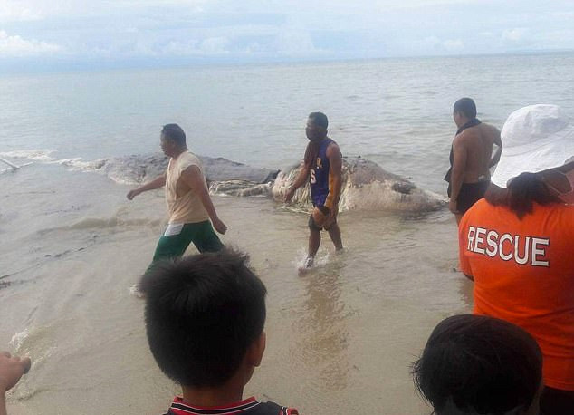 Bu gizemli yaratık neyin nesi dünya hayrete düştü - Resim: 4