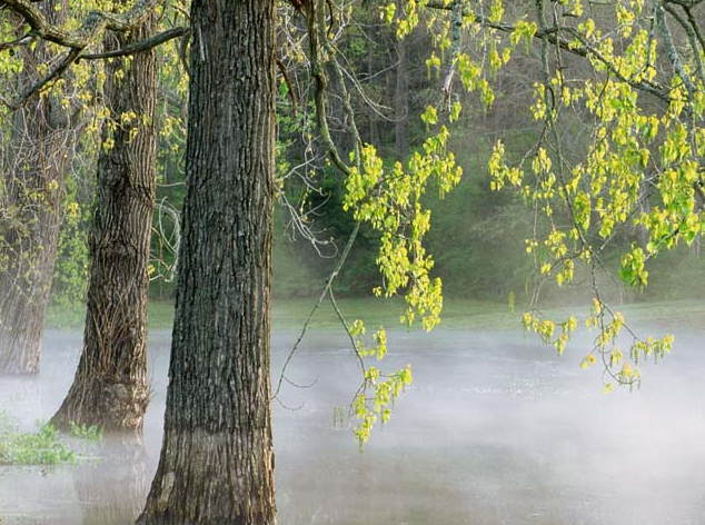 Tam o anda çekilen fotoğraflar - Resim: 2
