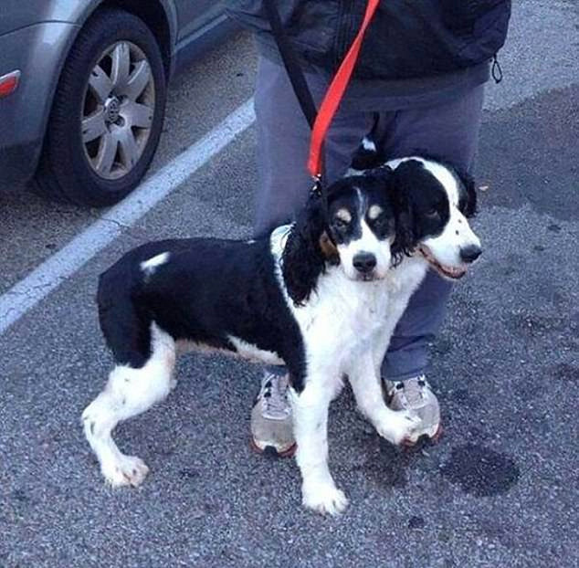 Plajda bu görüntüyü görünce şoke oldu ama... - Resim: 1