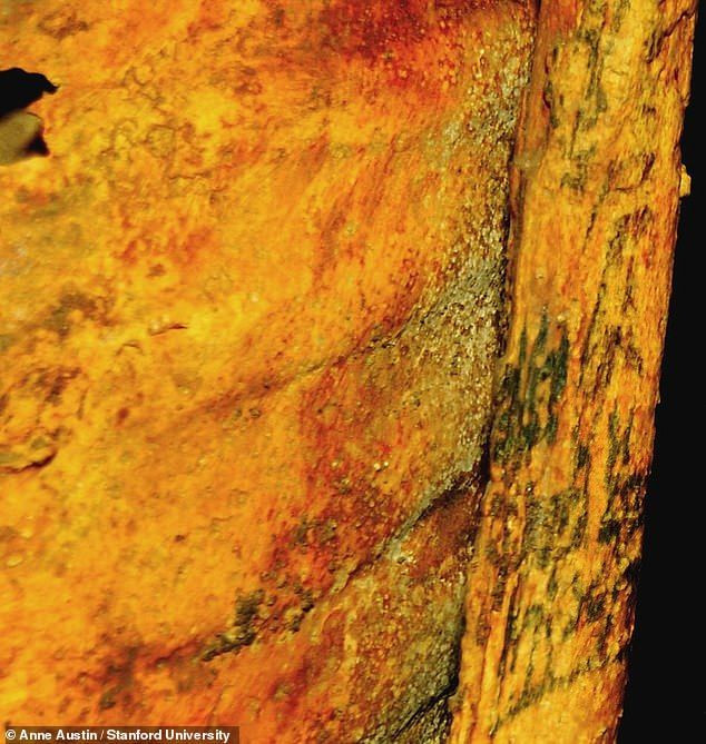 Mısır'da 3 bin yıllık mumyadan çıktı! Cinsellikle ilgili sadece kızıl ötesi ışınlar gösteriyor - Resim: 1