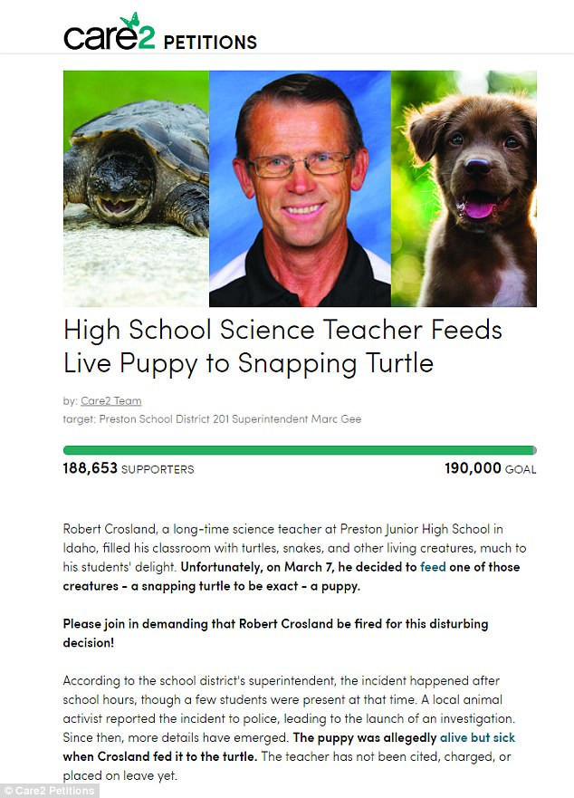 Köpek yavrusunu canlı canlı kaplumbağaya yedirdi - Resim: 4