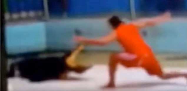 Timsah gösterisinde dehşet anları görüntülendi - Resim: 4