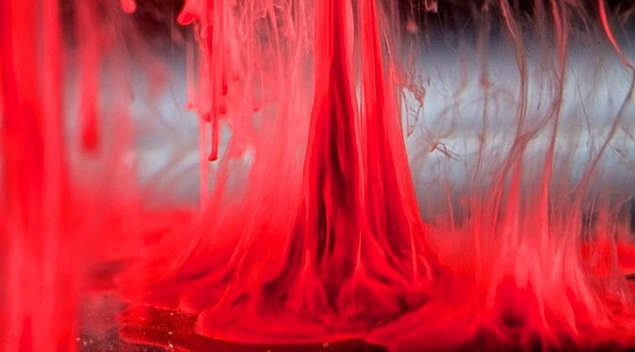 Regl kanıyla fotoğraf yaptı sanat eseri dedi! - Resim: 3