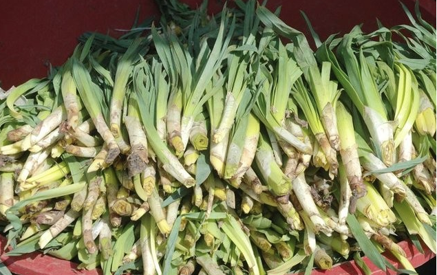 Diyarbakırlıların beklediği bitki pazara girdi günde 250 kilo satılıyor - Resim: 4