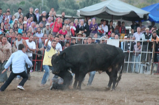Burası İspanya değil Aydın - Resim: 3