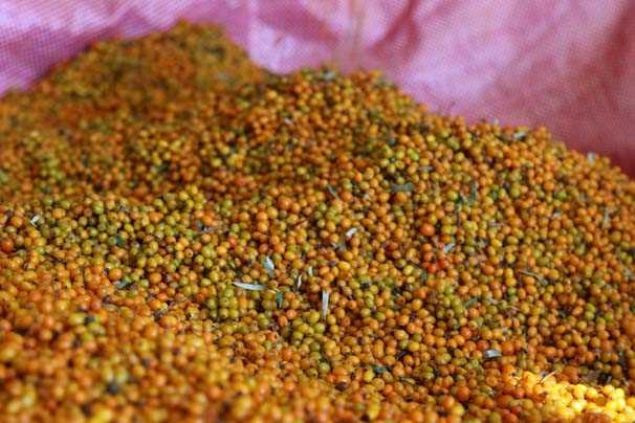 Portakaldan 12 kat fazla C vitaminine sahip  - Resim: 2