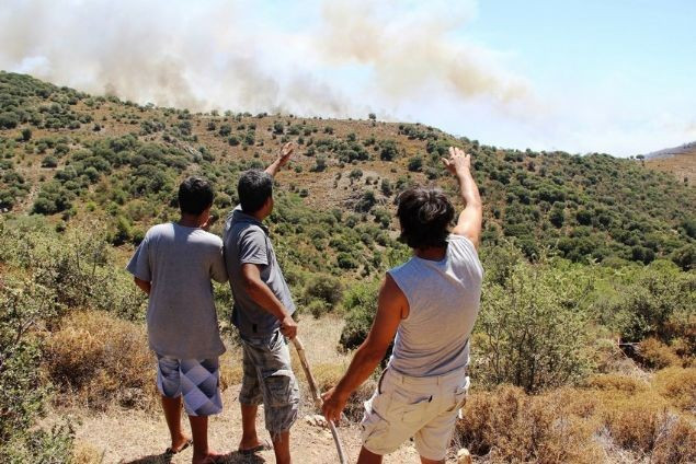 Bodrum'daki yangın kontrol altına alındı - Resim: 1