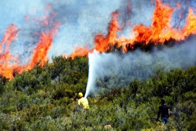 Bodrum'daki yangın kontrol altına alındı - Resim: 3
