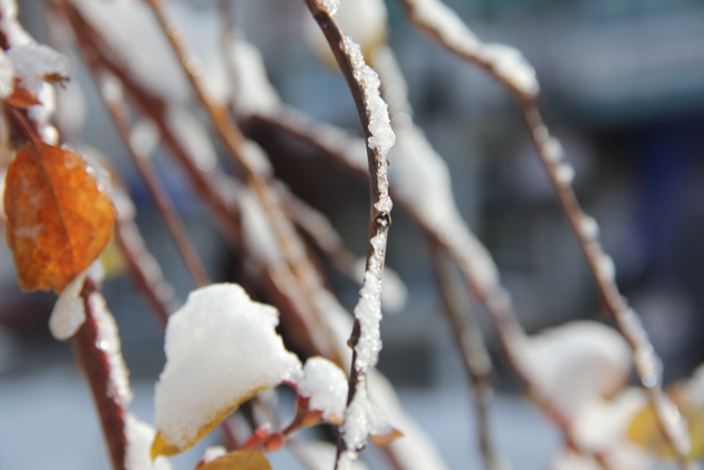 Türkiye donuyor - Resim: 2