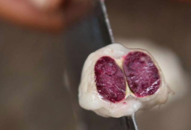 Çikolata neden ve nasıl yapılıyor? Ağaçtaki ilk hali şaşırtıcı - Resim: 4