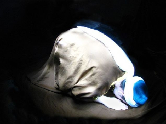 Namazın bilinmeyen bilimsel mucizeleri! - Resim: 1