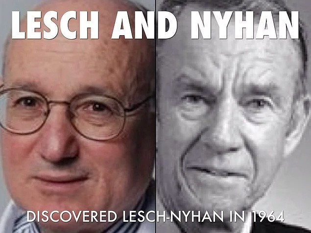 O gerçekten bir fil adam gözlerinize inanamayacaksınız! - Resim: 3