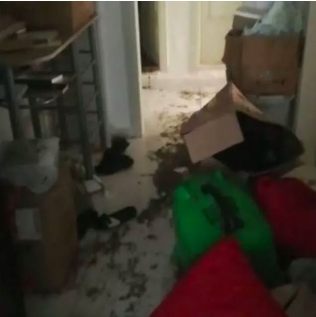 6 aydır kira alamadığını evine baskın yaptı! Gördükleri şok etti - Resim: 0