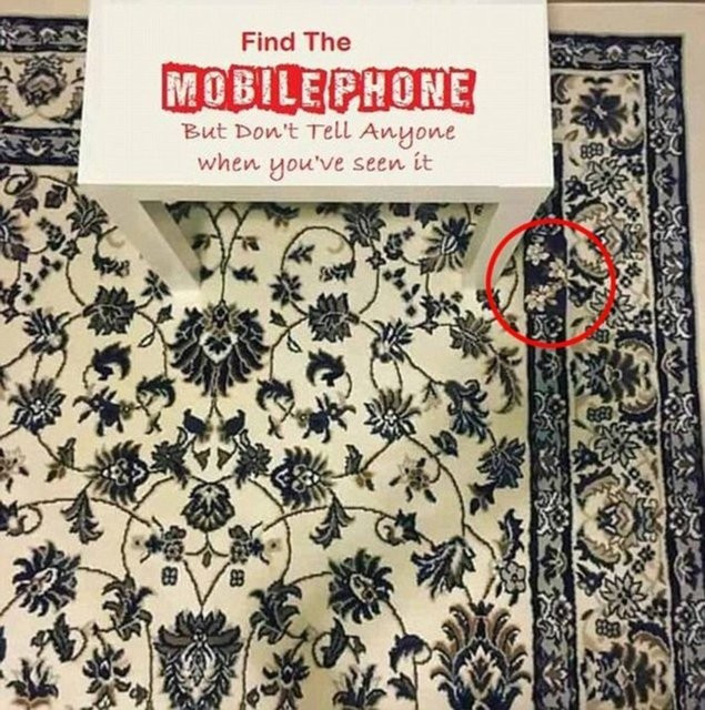 Bu fotoğrafta bir panda var ama kimse bulamıyor! - Resim: 2