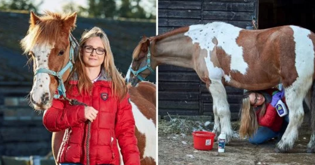 Dünyanın en kötü işine sahip! Her gün at penisi temizliyor - Resim: 1