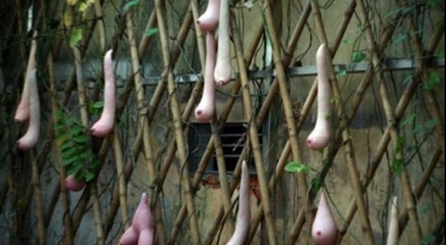 Sakın şekline aldanmayın! Bakın aslında ne - Resim: 4