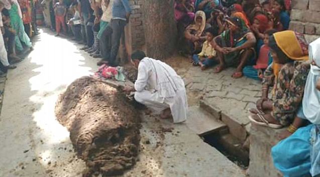 Kadını yılan soktu kocası iyileşsin diye inek pisliğine gömdü! - Resim: 4