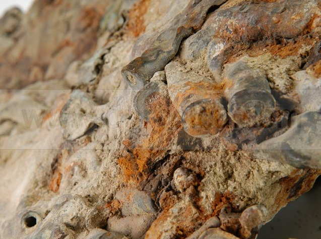 Çanakkale en çok şehit veren ilimiz? - Resim: 2