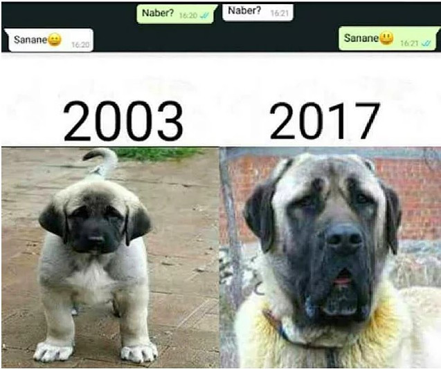 Fazla kilolarından kurtuldu böyle intikam aldı! - Resim: 3