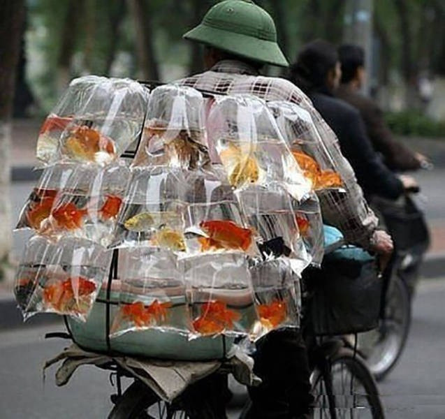 Taşımacılıkta çığır açanlar! - Resim: 4