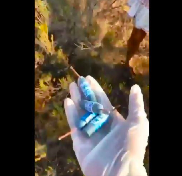 Orman yangınlarında ağaçların dibinde buldular! Patlamamış halde yakaladı - Resim: 0