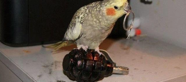 Bu fotoğraflar güldürüyor... - Resim: 3