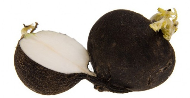 İçine bal koyup bekleyin! Siyah turp kanıtlanmış mucize - Resim: 4