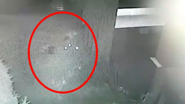 Daria Kyryliuk'un gördüğü şiddetin görüntüleri olay! İddiaları reddetti - Resim: 4