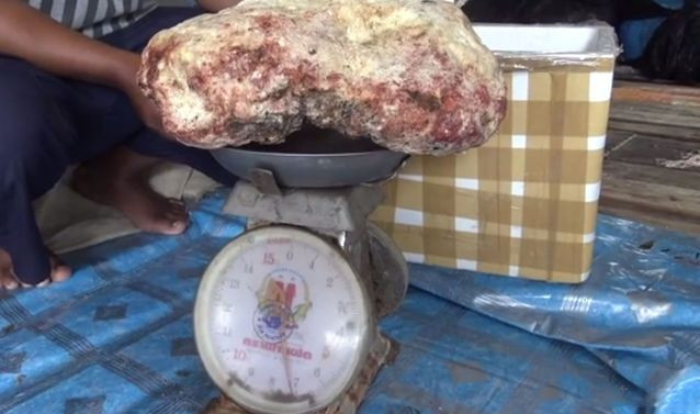 Yok böyle bir şans! Balıktan dönerken buldu yanınca 2 milyon liranın sahibi oldu - Resim: 3