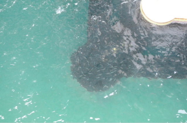 artnivo Artweeks Akaretler geçici sergisi üç haftalığına açılıyor - Resim: 2