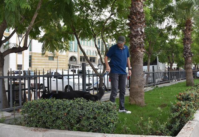 Antalya Adliyesi'nde bomba paniği - Resim: 2