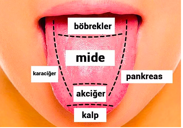 Dildeki beyazlık neden olur evde nasıl geçer tedavisi - Resim: 0