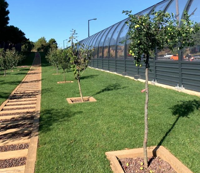 İBB'nin, "Dikey bahçe yerine grafiti" çalışması tartışma başlattı - Resim: 2