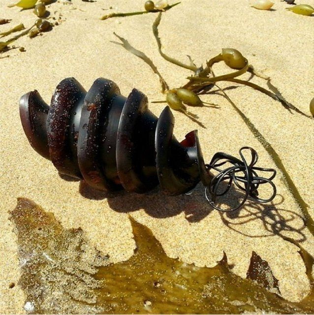 Plajda bulduğu şeyin ne olduğunu öğrendi şoke oldu! - Resim: 1