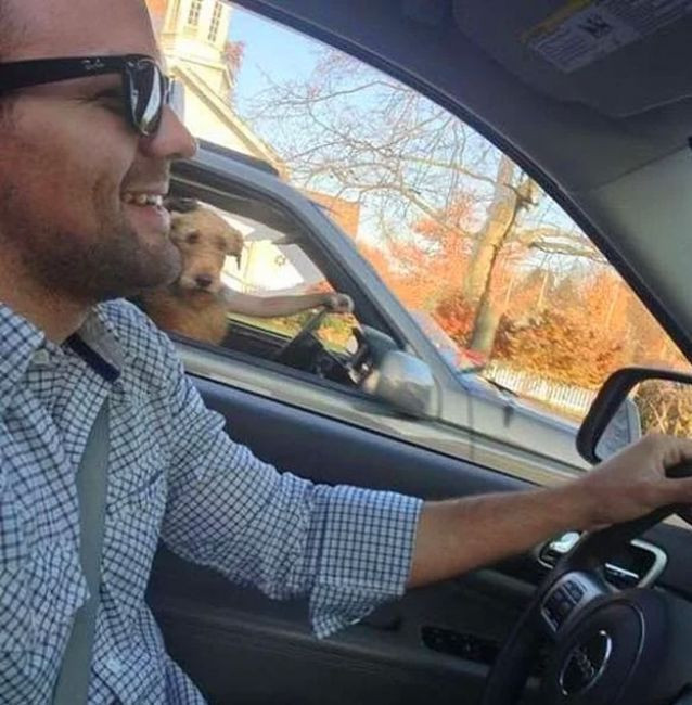 Bu fotoğraflara iki defa bakacaksınız - Resim: 4