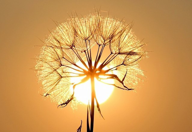 Bayramda hava nasıl olacak? - Resim: 2